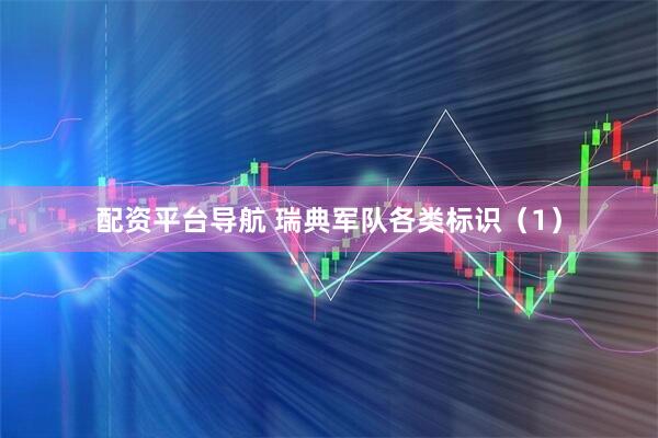 配资平台导航 瑞典军队各类标识（1）